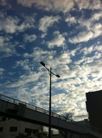 師走ーー 2011/12/14 19:37:19