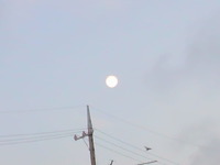 おはようございます 2012/07/05 05:46:21