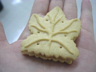 いよいよ明日！