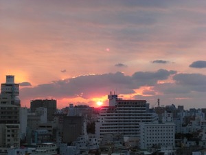 狼なんか・・・