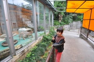 動物園