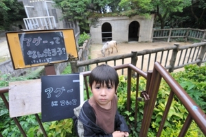 動物園