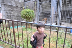 動物園