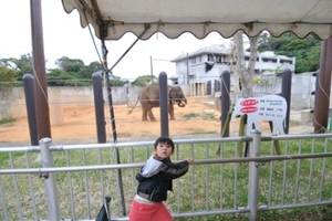 動物園
