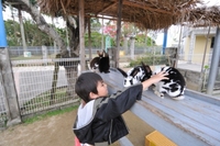 動物園