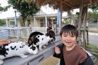 動物園