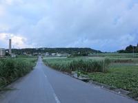 帰り道 2010/07/23 23:33:23