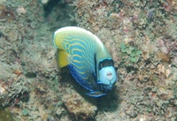 瀬長島沖、那覇空港沖、Oｈ島 2010/08/29 21:29:24