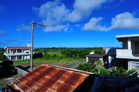 ケラマでサメとカメ 2010/08/15 23:23:41