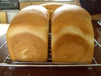 復習サークル　vol.Ⅱ 2009/07/15 15:06:27