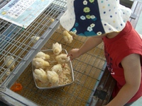 こどもの国 2009/07/22 11:30:27