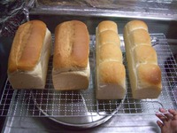 食パン＆動物パン 2009/08/04 06:36:37