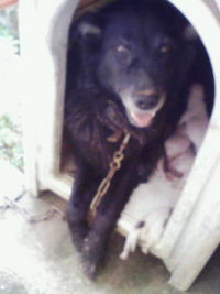 産まれた！ 2011/03/19 13:05:04