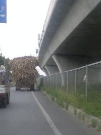 いつやる〜？ 2009/01/11 12:40:08