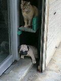 受験生ファイトお〜 2009/01/09 11:35:16