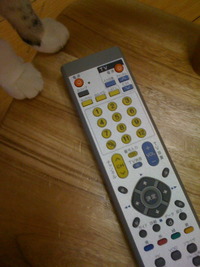 朝練のあと 2009/09/01 23:56:02