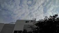 初シャメ。 2011/04/04 18:40:44