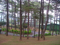 フィリピン台風被害２ 2009/10/14 09:21:51