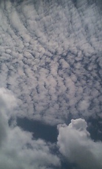今日の雲 2010/08/14 11:33:38