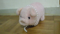 豚に真珠 2010/01/02 22:57:23