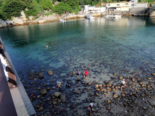 柏島の海