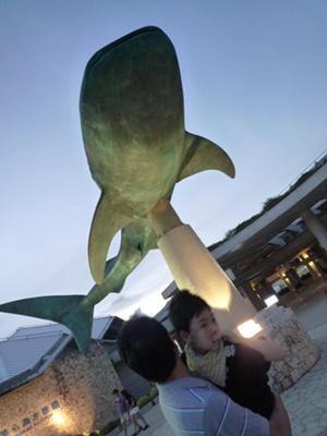 沖縄の思い出～美ら海～