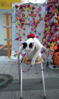 「断念…。」 2011/06/07 01:47:03