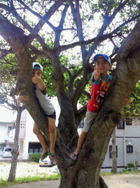 公園にて・・・。 2011/06/05 22:00:10