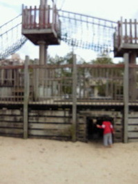 公園 2011/03/06 14:28:55