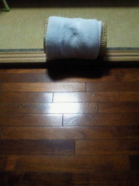 寝具・・・？ 2011/06/15 22:32:42