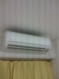 １年ぶりの・・・。 2011/06/17 21:14:21