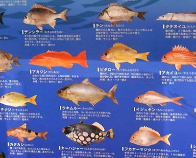 沖縄の魚ポスター もとぶ商店