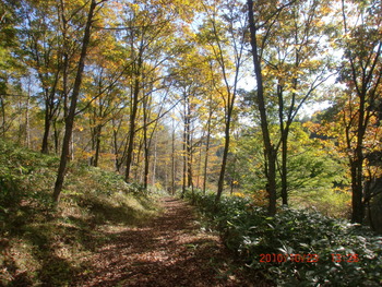 外山森林公園