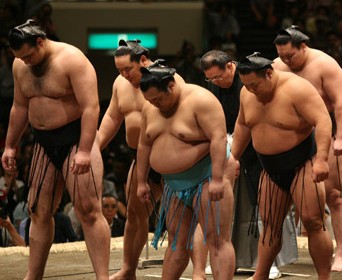 申し訳ありません。。。。