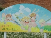 春のお花めぐり～東村