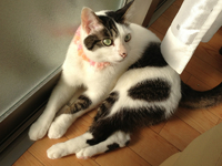 にゃご会お花見〜その1