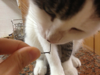 こんなところで？ 2013/03/29 23:32:14