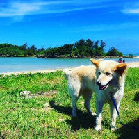 夏。 2017/08/21 15:21:21