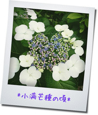 王国村*お父さんへの贈り物