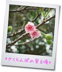 王国村＊女子注目の工芸雑貨