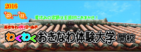 夏休みの宿題・自由研究はおまかせ!!
