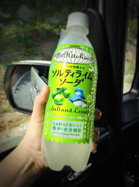 夏の塩分補給 2016/07/04 16:53:19