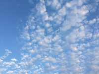 雲 2016/05/01 18:45:29
