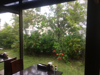 台風 2014/07/08 14:09:20