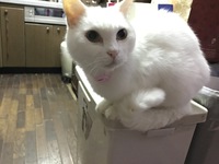 今日の営業時間！ 2020/03/22 06:00:00