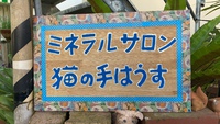 12月1日の記事 2020/12/01 13:39:21