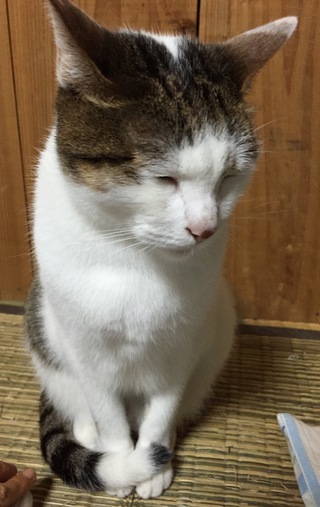 本日臨時休業のお知らせ