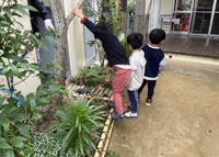 園庭遊び☆