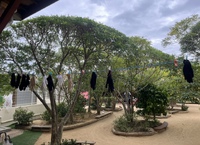 園庭遊び☆