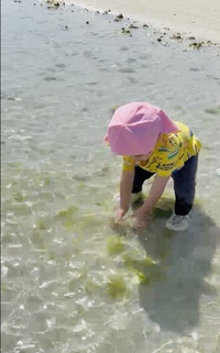 海で遊んできました！！
